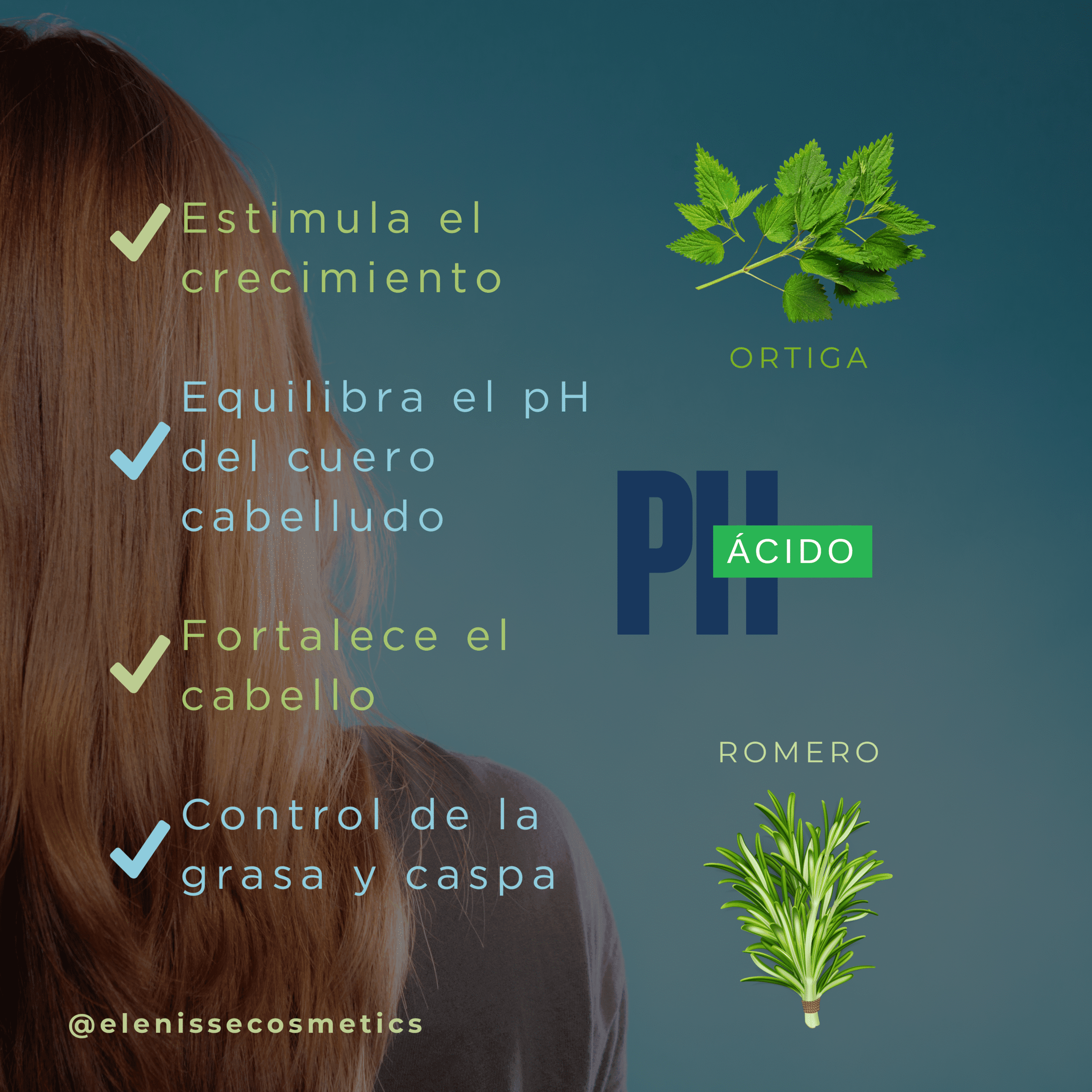 tonico capilar romero Y ORTIGA Tónico Capilar de Ortiga y Romero | pH Ácido | Elenisse - Imagen 2